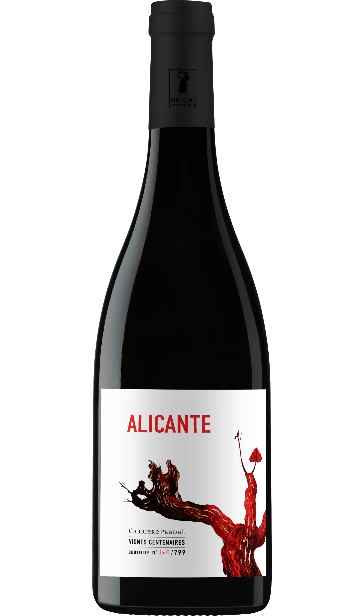 alicante
